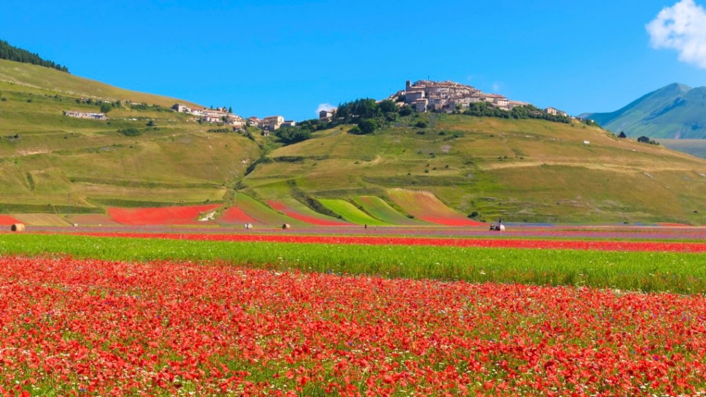 Castelluccio di Norcia – En färgsymfoni i&nbsp;Apenninerna