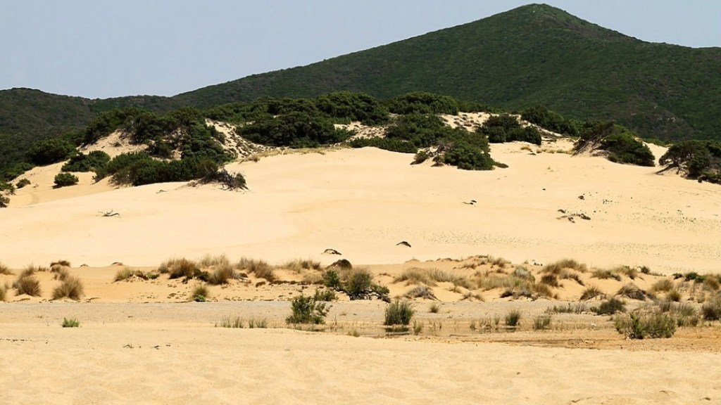 Dune di Piscinas – Sardiniens&nbsp;sandhav
